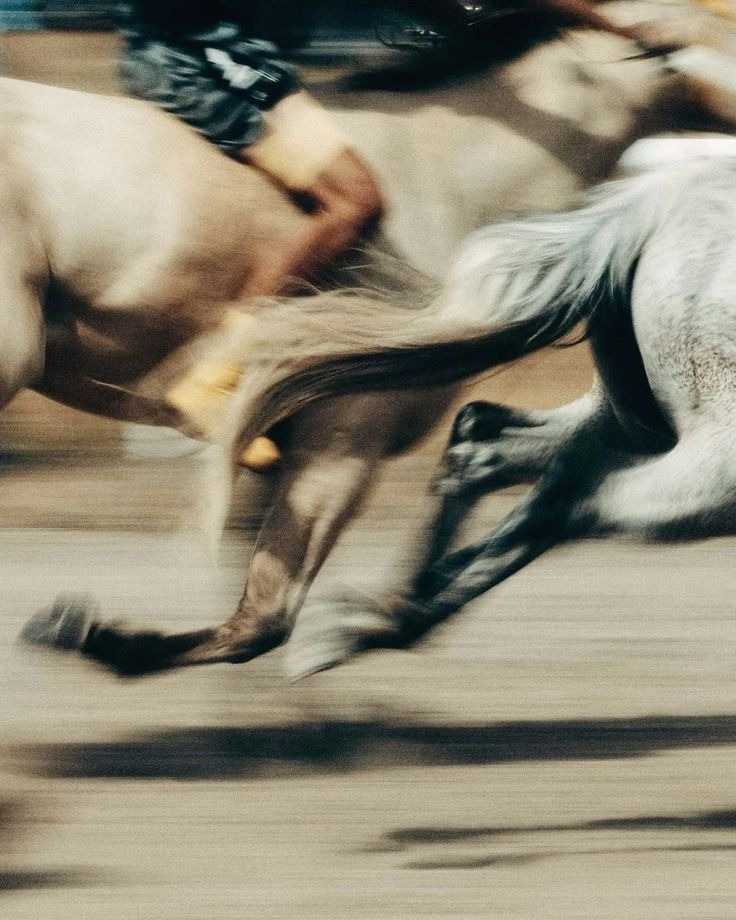 Cala Creative Agency — motion and energy meeting brand philosophy